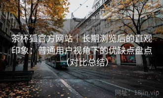 茶杯狐官方网站｜长期浏览后的直观印象：普通用户视角下的优缺点盘点（对比总结）