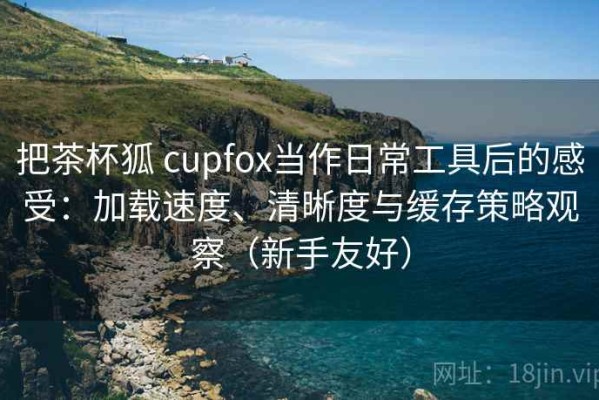 把茶杯狐 cupfox当作日常工具后的感受：加载速度、清晰度与缓存策略观察（新手友好）