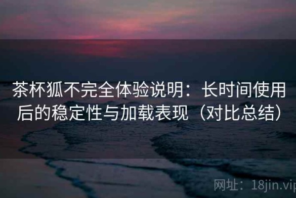 茶杯狐不完全体验说明：长时间使用后的稳定性与加载表现（对比总结）