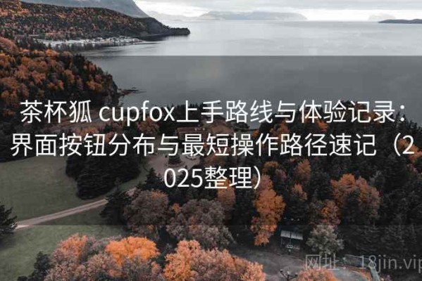 茶杯狐 cupfox上手路线与体验记录：界面按钮分布与最短操作路径速记（2025整理）