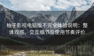 柚子影视电脑版不完全体验说明：整体观感、交互细节与使用节奏评价