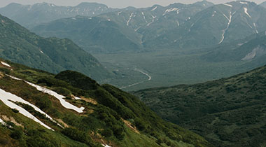 多次使用后再评价樱花影院网站官网：搜索效率、分类清晰度与实际可用性观察（效率向）