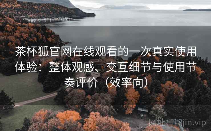 茶杯狐官网在线观看的一次真实使用体验：整体观感、交互细节与使用节奏评价（效率向）