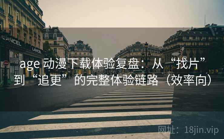 age 动漫下载体验复盘：从“找片”到“追更”的完整体验链路（效率向）