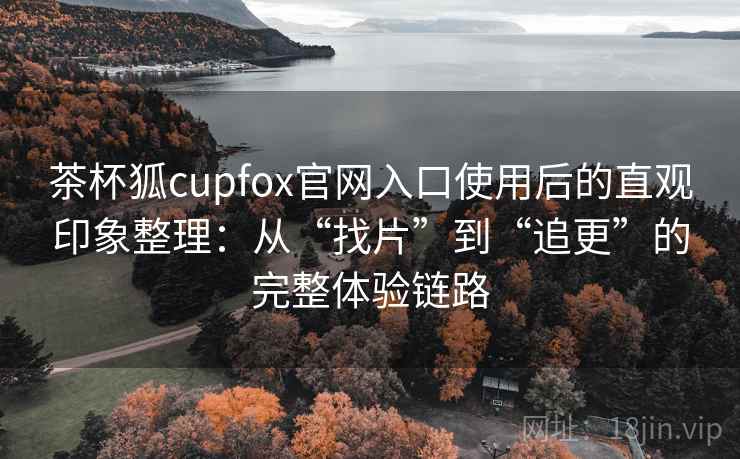 茶杯狐cupfox官网入口使用后的直观印象整理：从“找片”到“追更”的完整体验链路